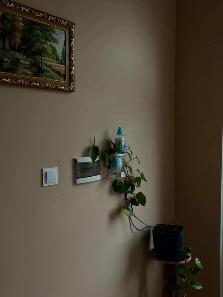 Mountain Heart Bed & Breakfast Kazbegi Bagian luar foto